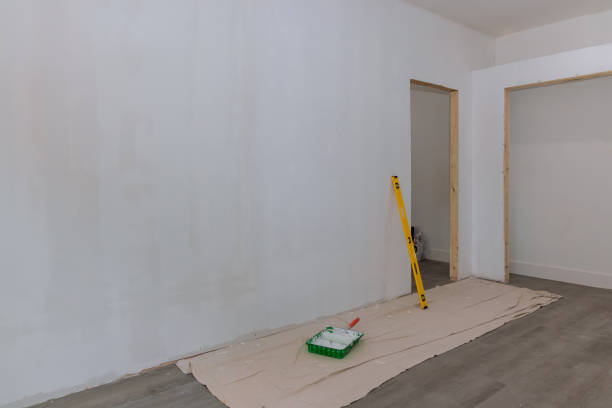 Best Mold Odor Removal Services  in St Clair, MI