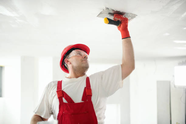  St Clair, MI Mold Removal Pros