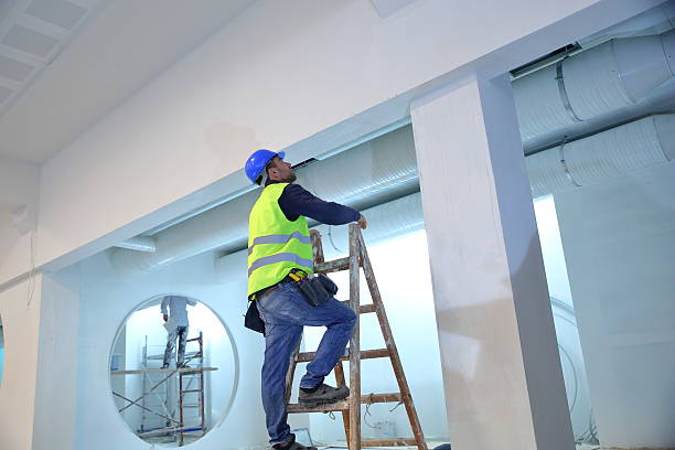 Best Residential Mold Inspection & Testing  in St Clair, MI
